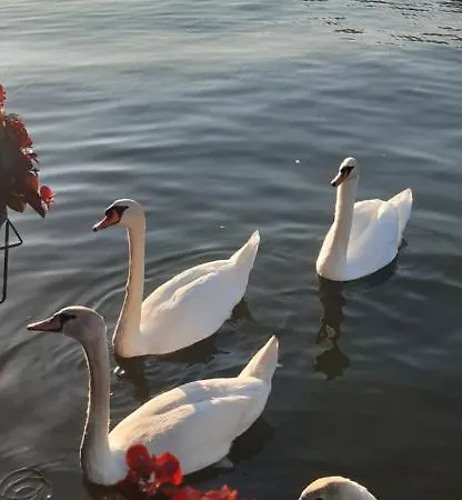 Nature And Atractive House Feriehus Beograd