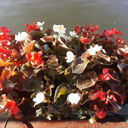 Feriehus Nature And Atractive House